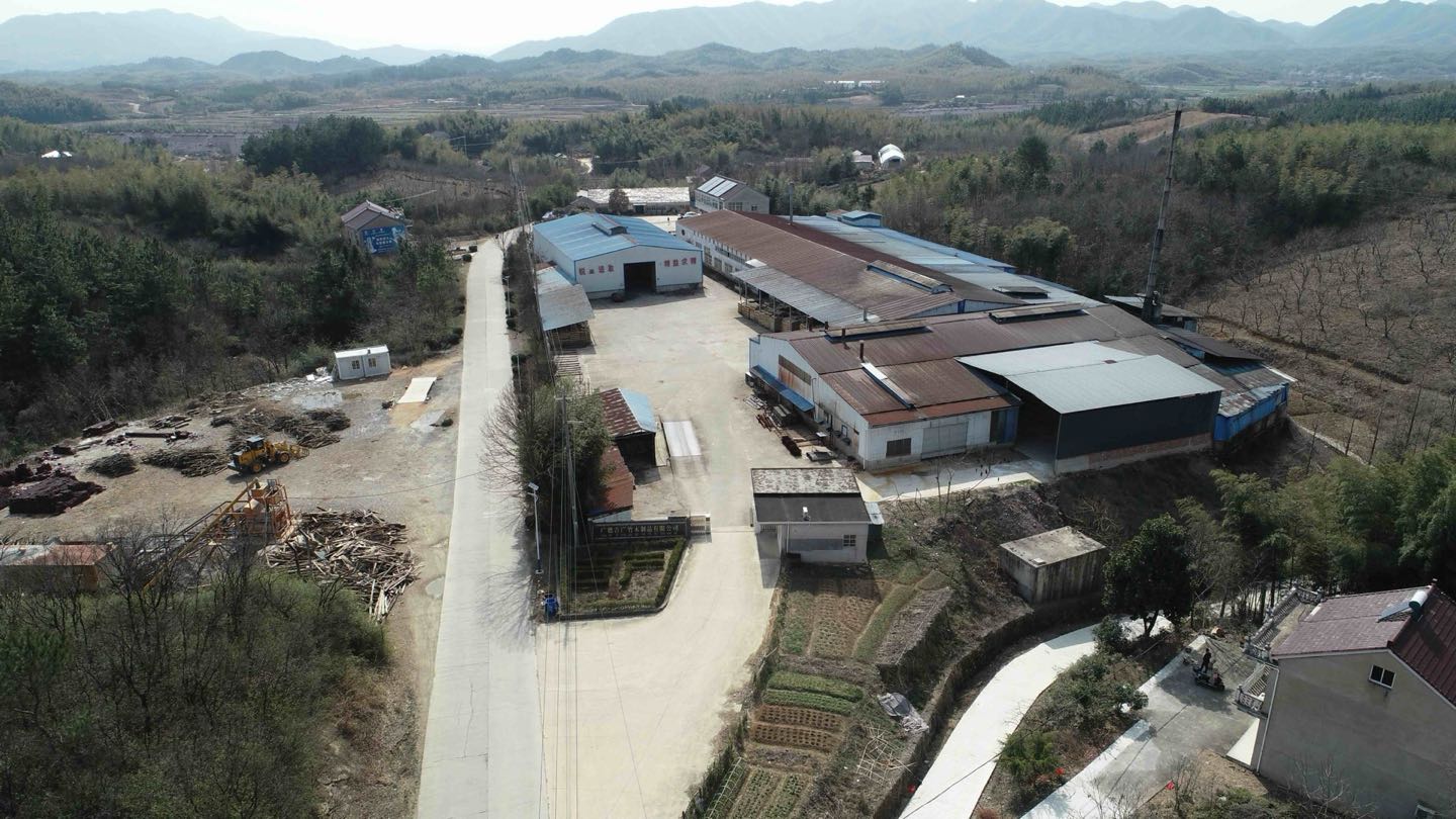 以竹代塑,筑梦未来